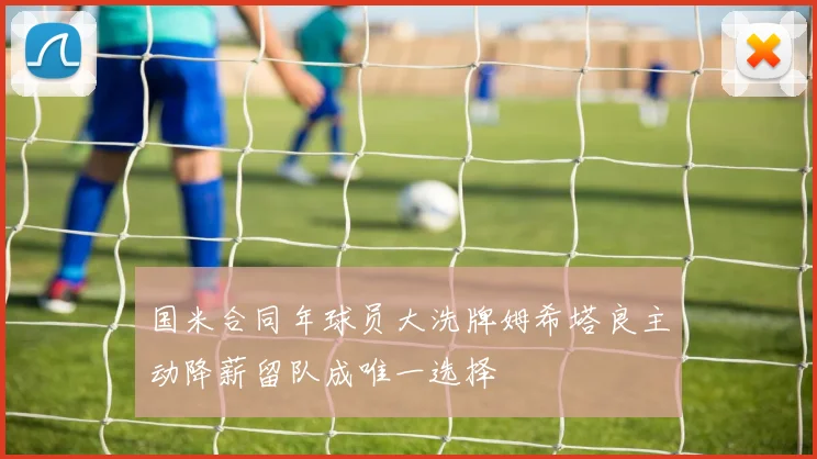 国米合同年球员大洗牌姆希塔良主动降薪留队成唯一选择